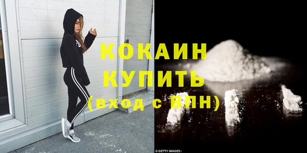мдпв Богородицк