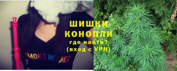 мдпв Богородицк