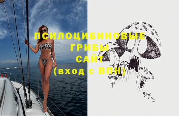 mix Богородск