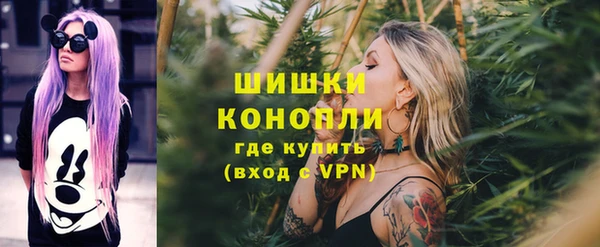 spice Богданович