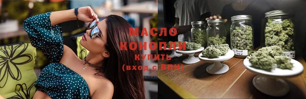 мдпв Богородицк